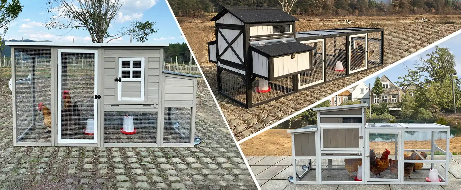 Premium Chicken Coops & Poultry Houses